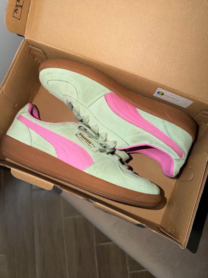 Puma
