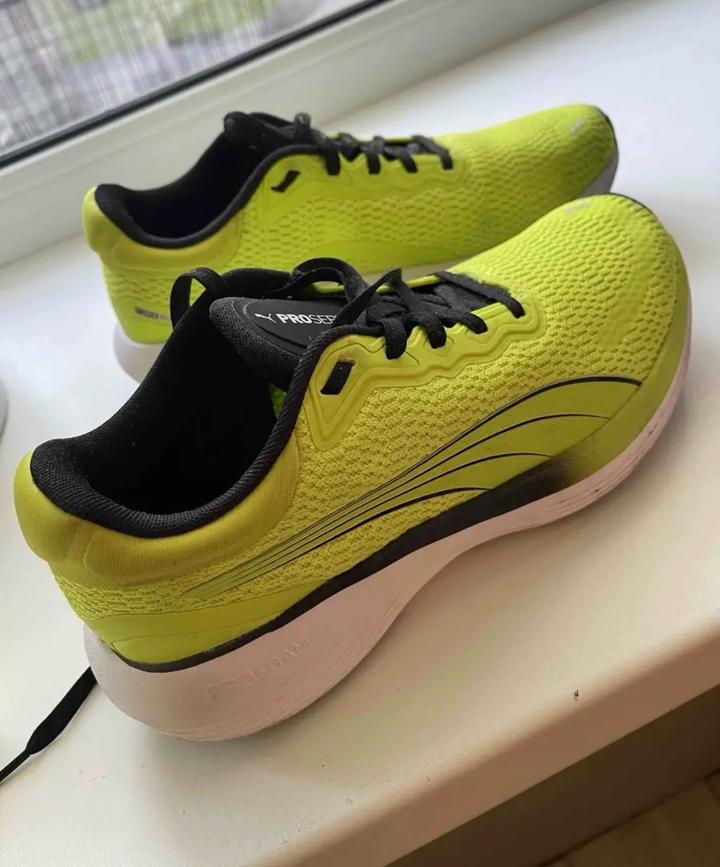 Puma