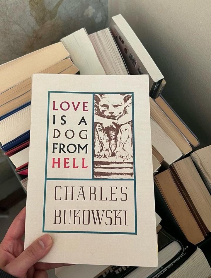 Love Is a Dog from Hell