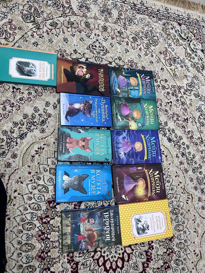 книги, холли вебб