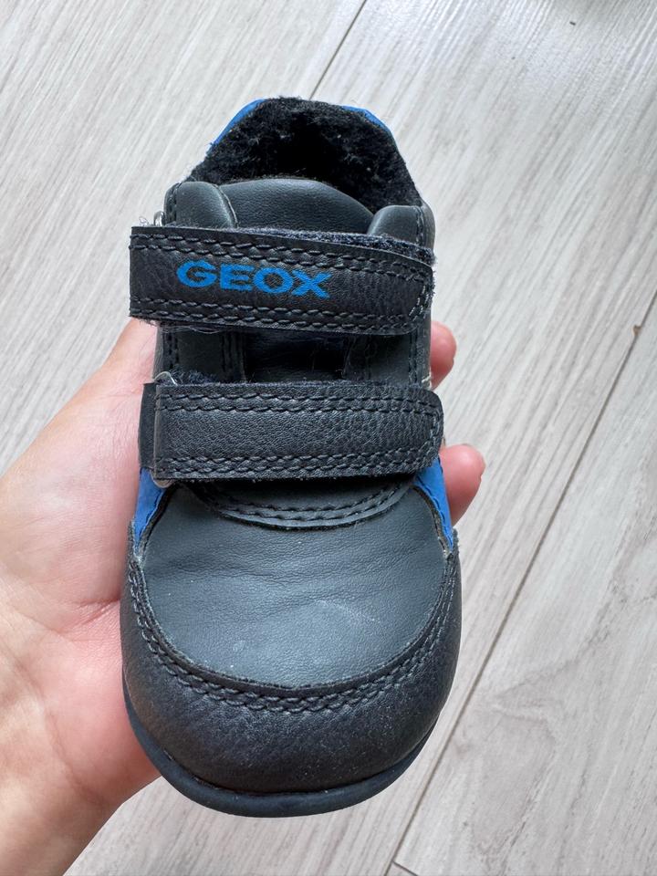 Ботинки Geox