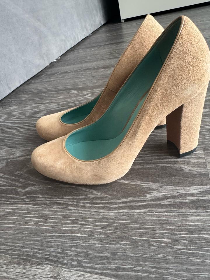 Pollini