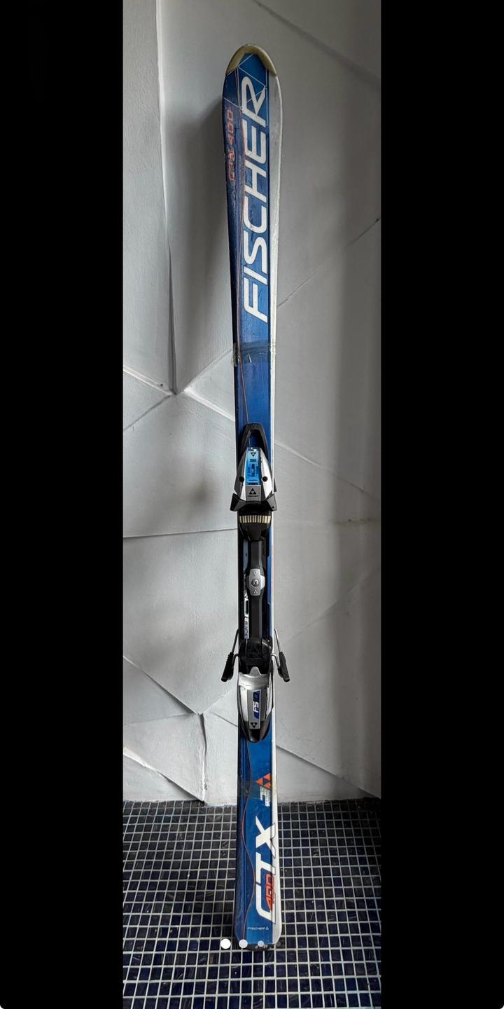 Горные лыжи Fischer FS10