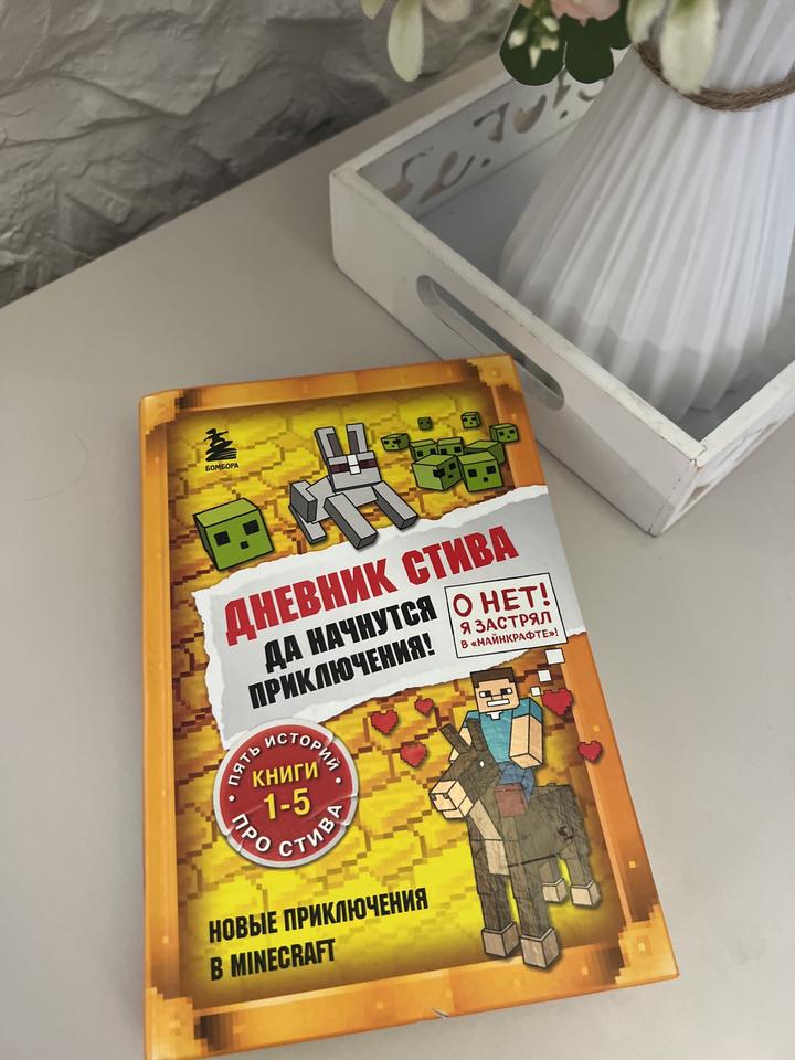 Дневник Стива. Да начнутся приключения! Новая