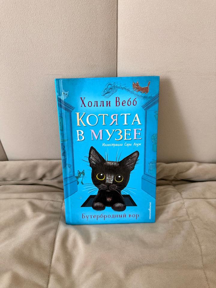 Котята в музее. Бутербродный вор.