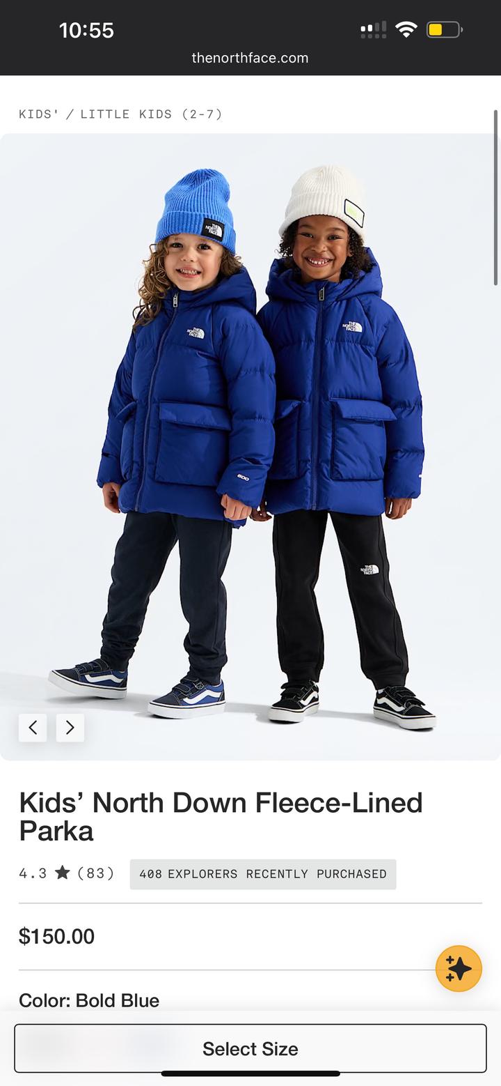 Куртка The North Face