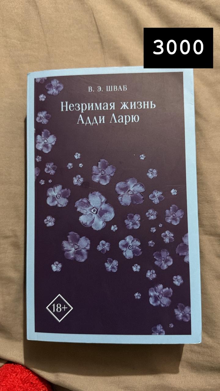 Незримая жизнь Адди Ларю