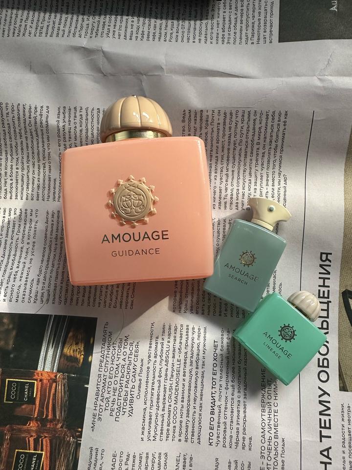 Amouage Guidance