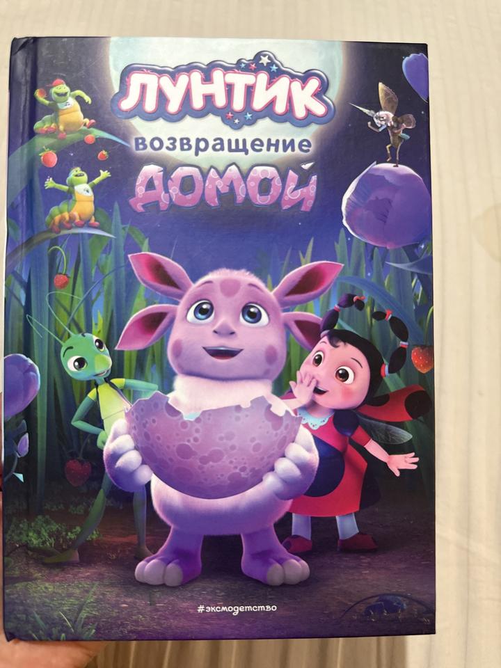 Лунтик. Возвращение домой
