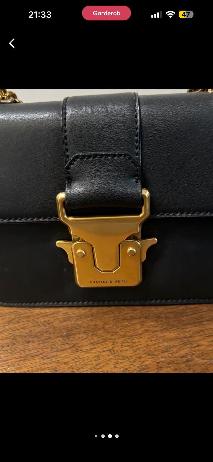 Сумка Charles & Keith