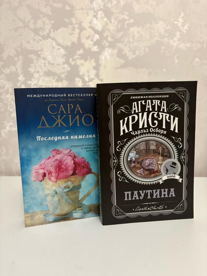 Сара Джио «последняя камелия»    Агата Кристи «паутина»