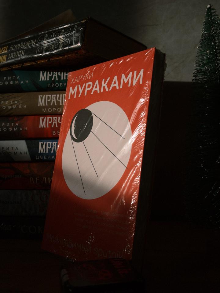 Мой любимый sputnik