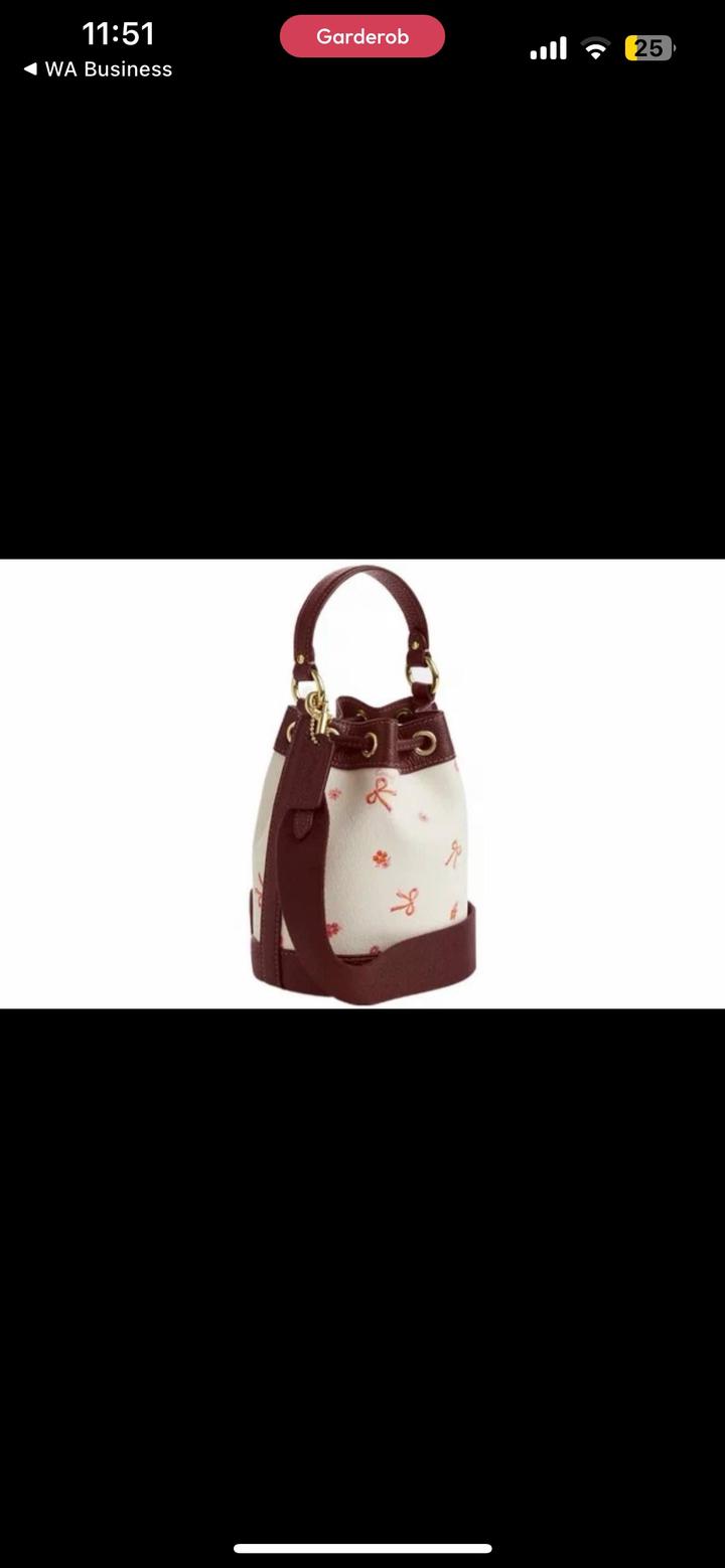 Сумка Coach bucket bag