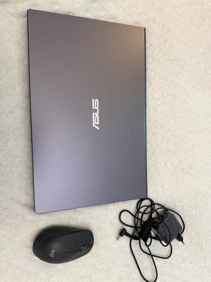 Ноутбук ASUS P1512CE