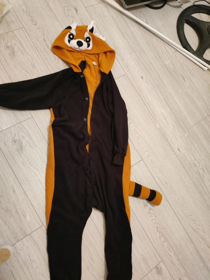 Костюм енота