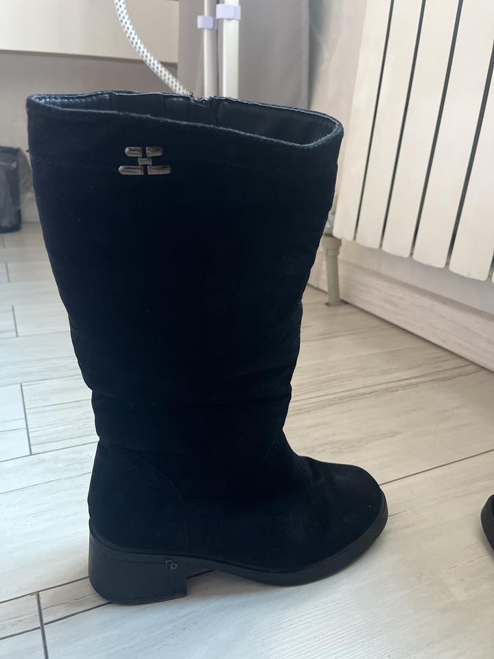 Elisabetta Franchi Сапоги Qiya
