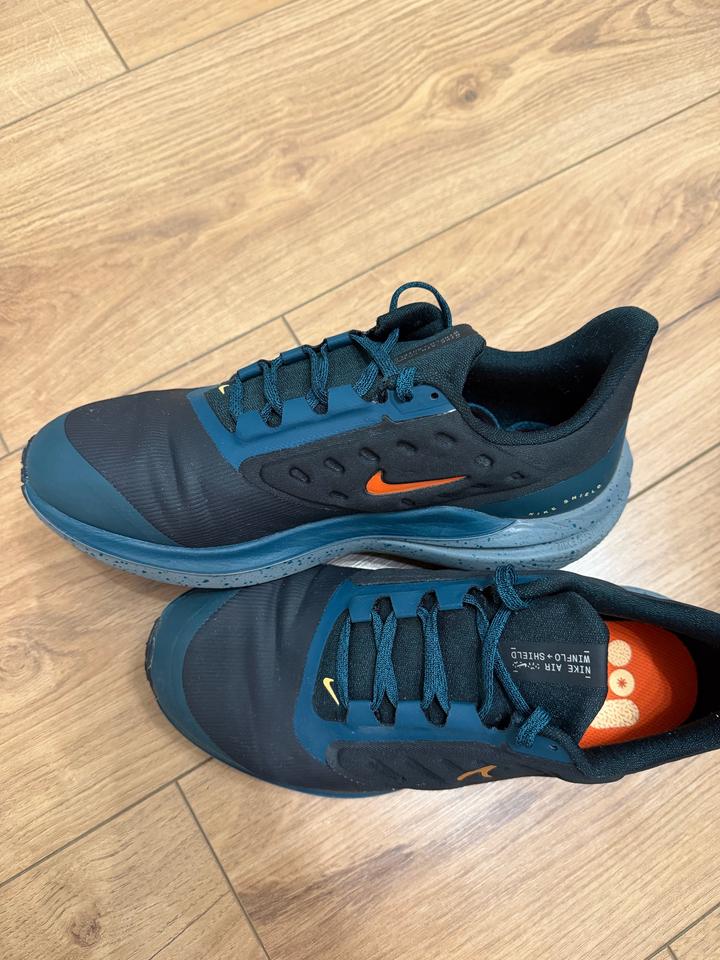 Кроссовки Nike Air Zoom Pegasus 40