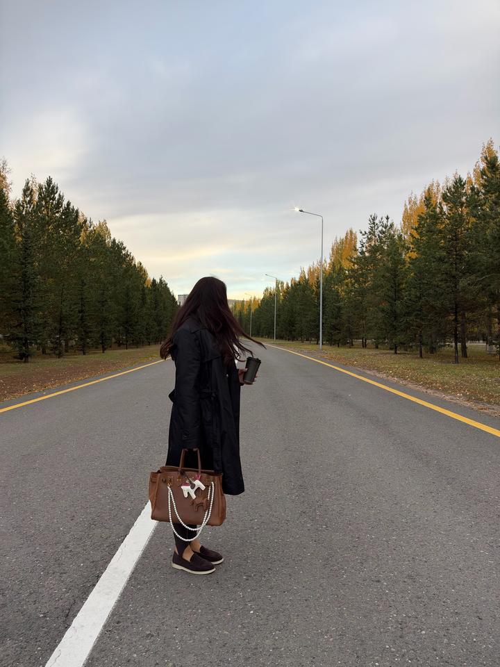 Сумка luxe качество
