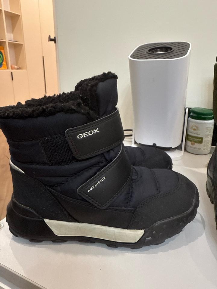 Geox Зимние сапоги