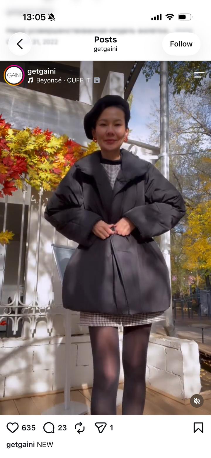 Куртка зимняя GAINI