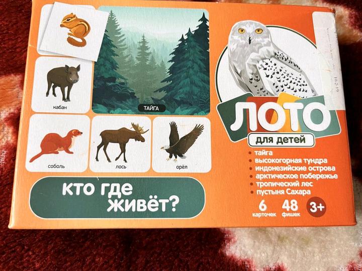 Десятое королевство Развивающая игра для детей.Лото. Кто где живёт ?