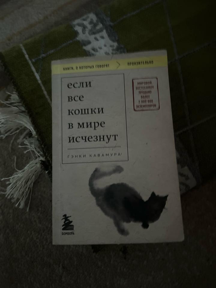 Если все кошки в мире исчезнут