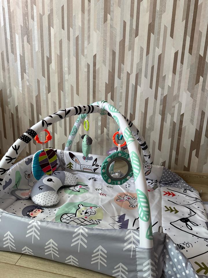 baby activity Детский развивающий коврик с дугами