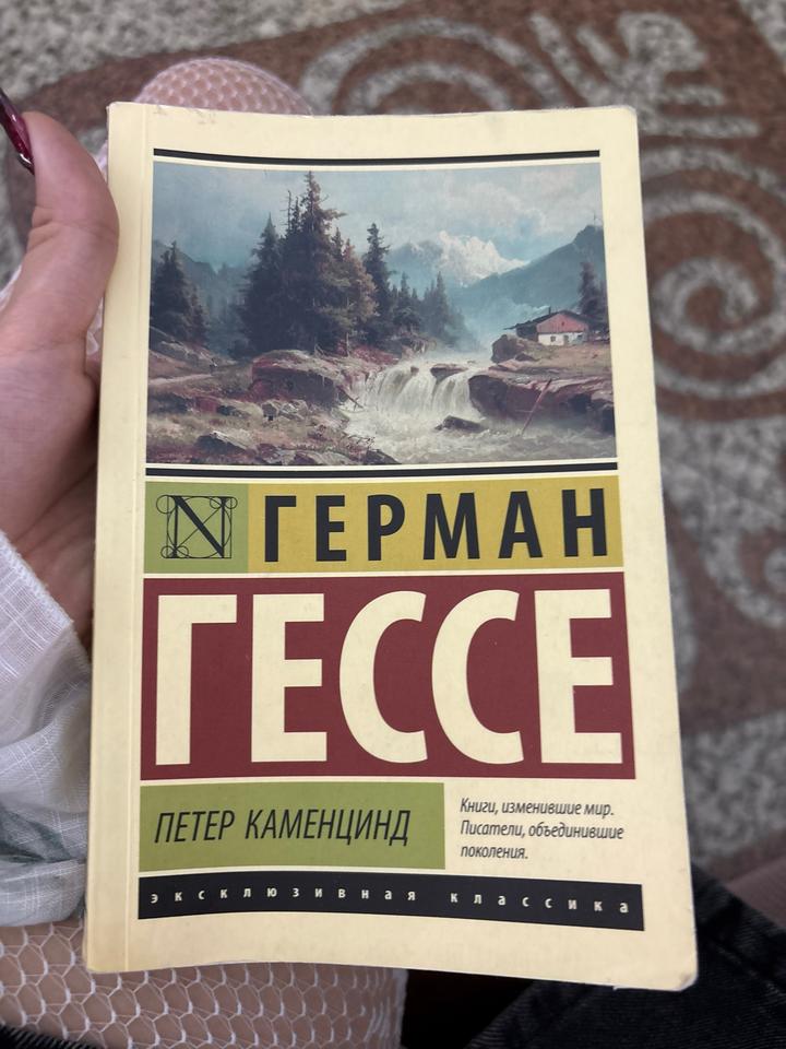 Петер Каменцинд