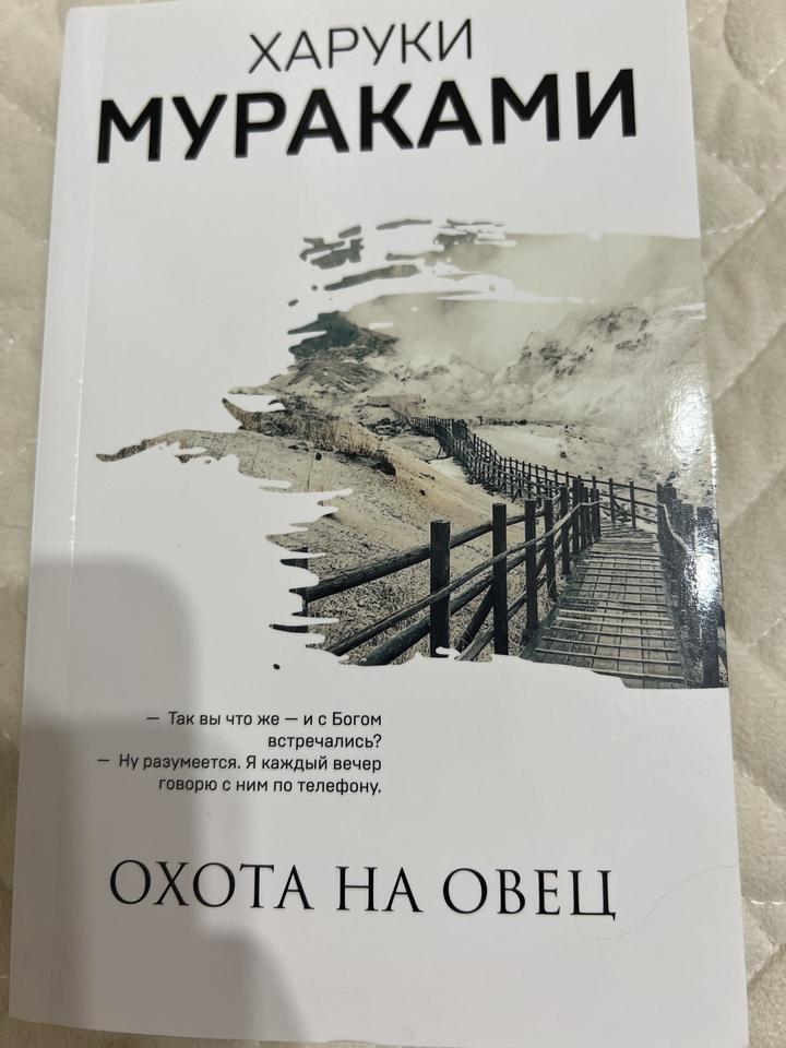 Охота на овец