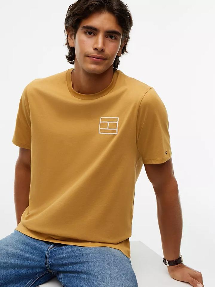 Tommy Hilfiger Мужская футболка