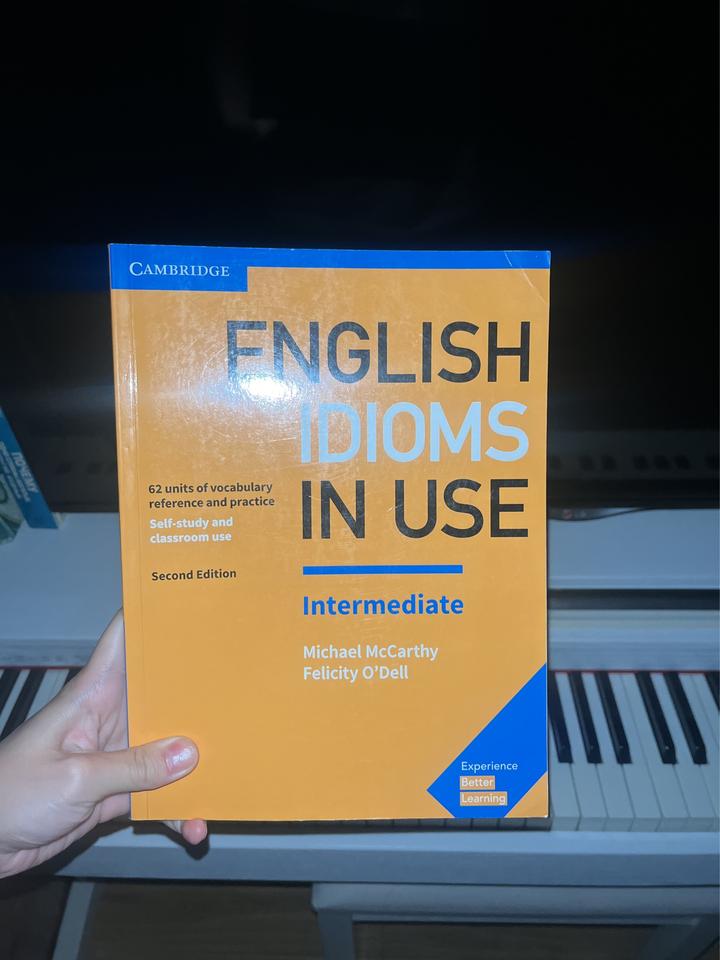 English vocabular/idioms in use