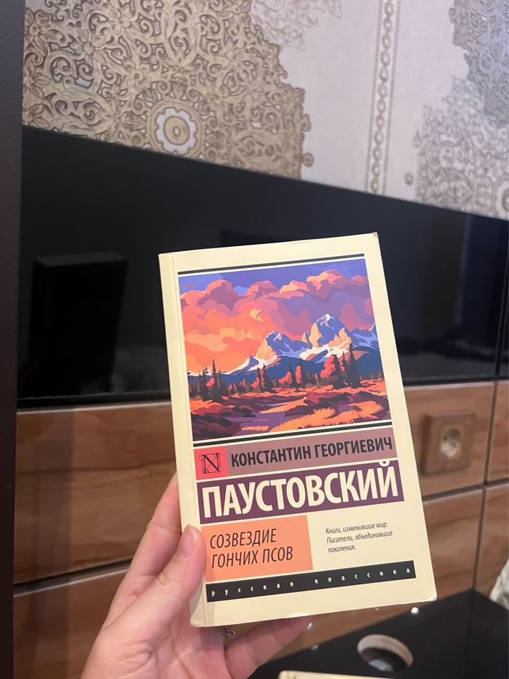 Созвездие Гончих Псов
