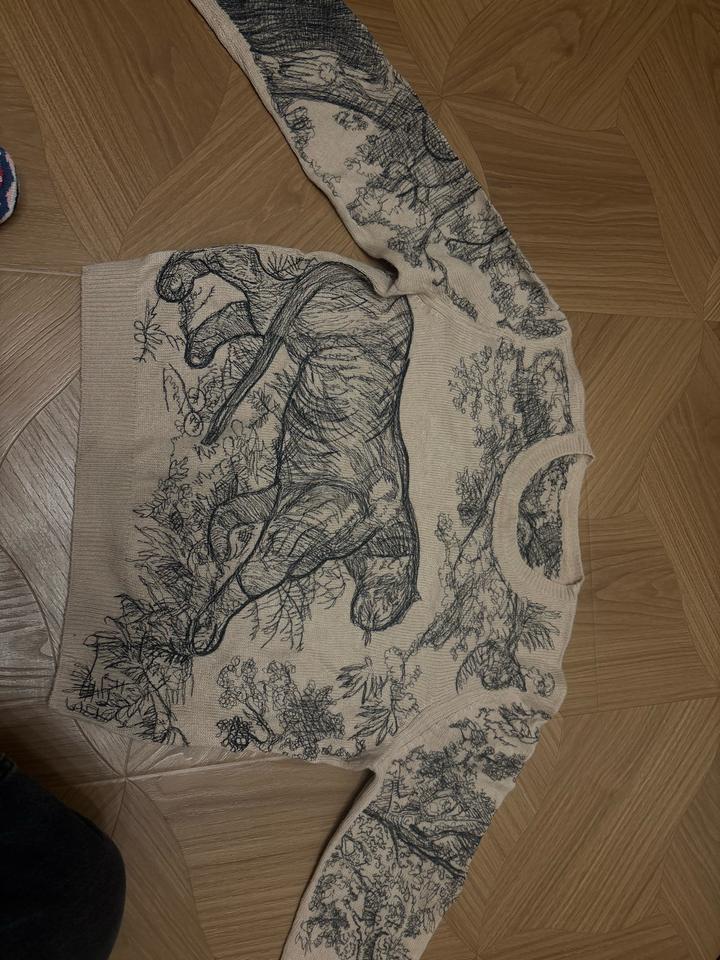 Джемпер Christian Dior с принтом Toile de Jouy