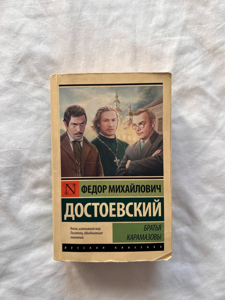 Книга «Братья Карамазовы»