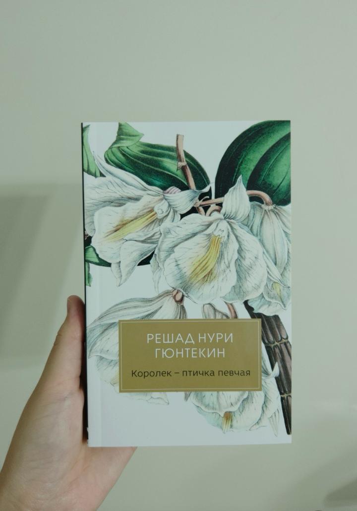 Королек – птичка певчая