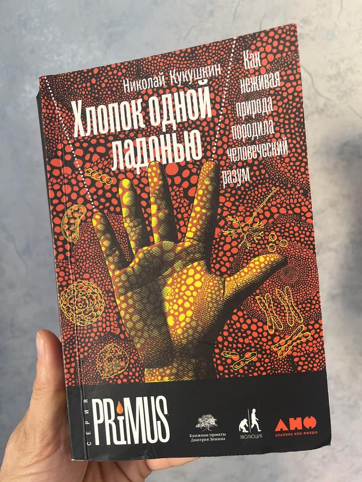 Хлопок одной ладонью