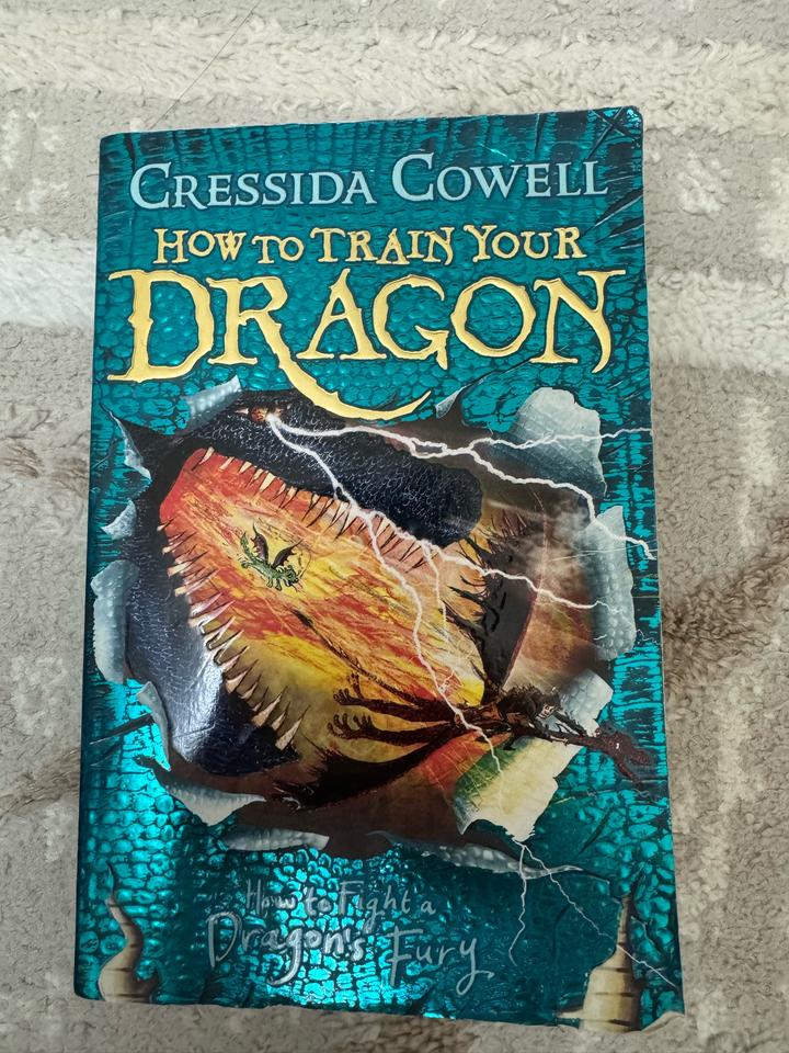 How to Fight a Dragon's Fury