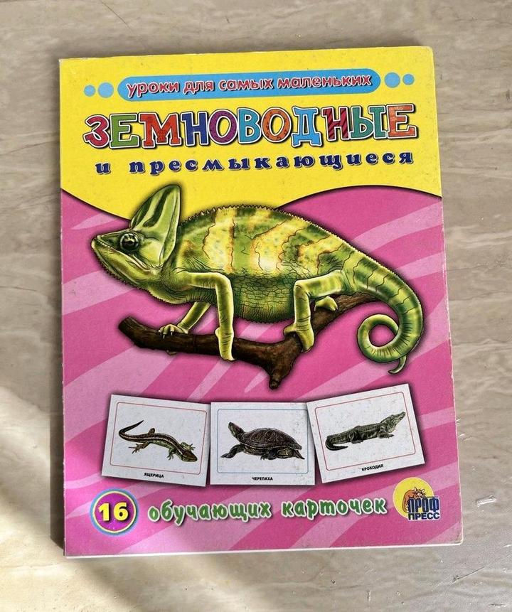 Обучающие карточки. Земноводные.