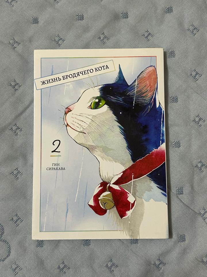 Жизнь бродячего кота