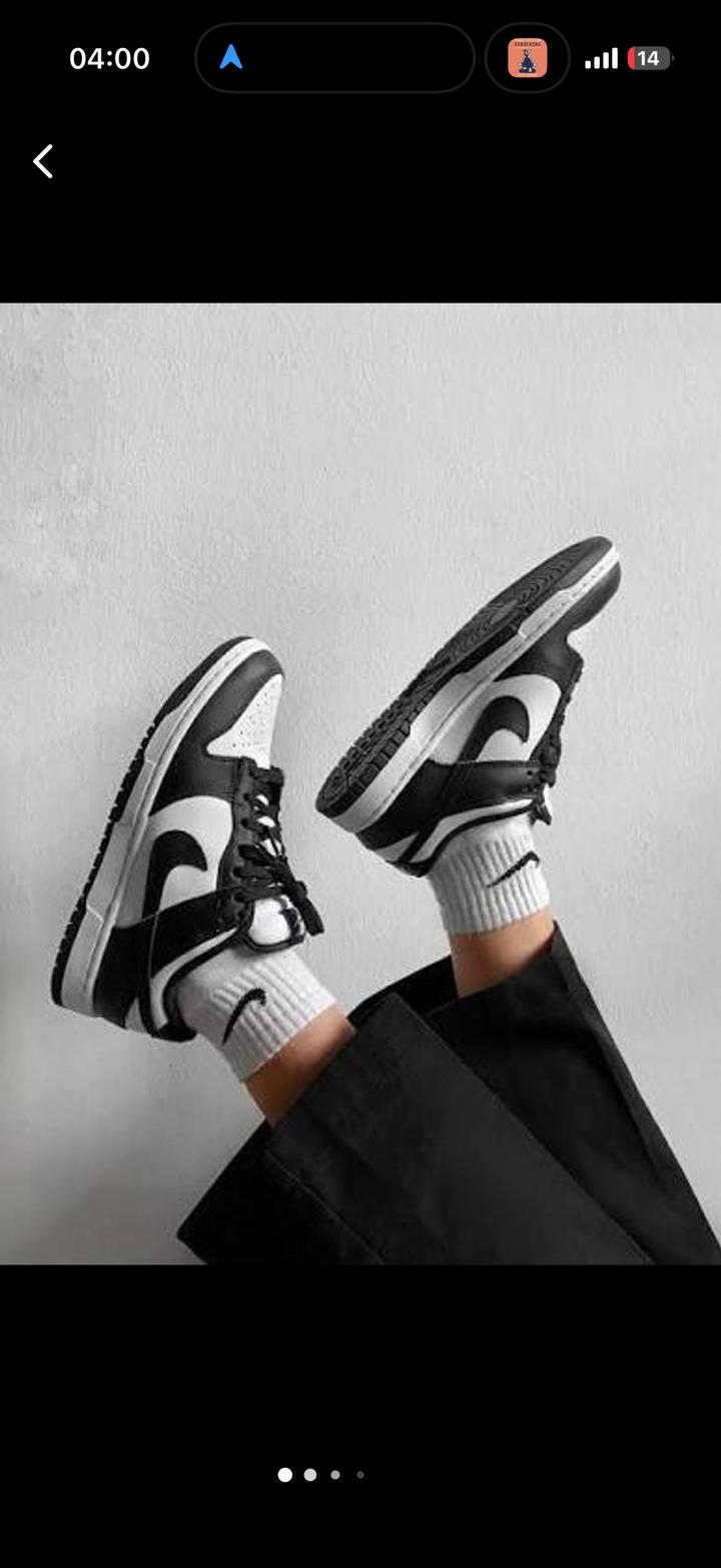 Кроссовки Nike Dunk Low