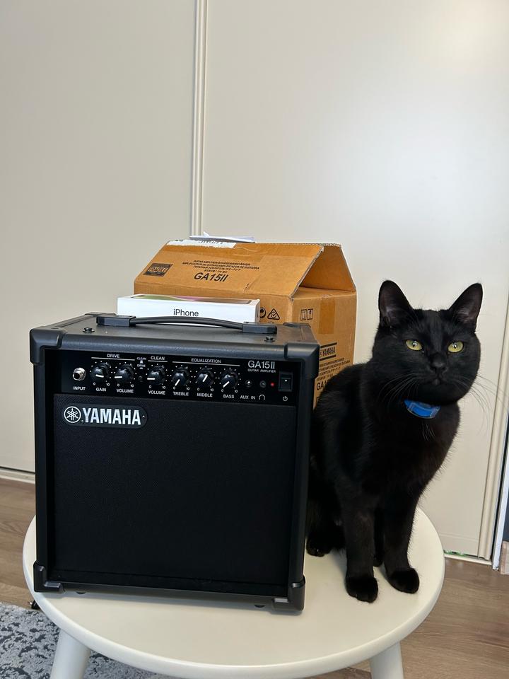 Yamaha комбоусилитель