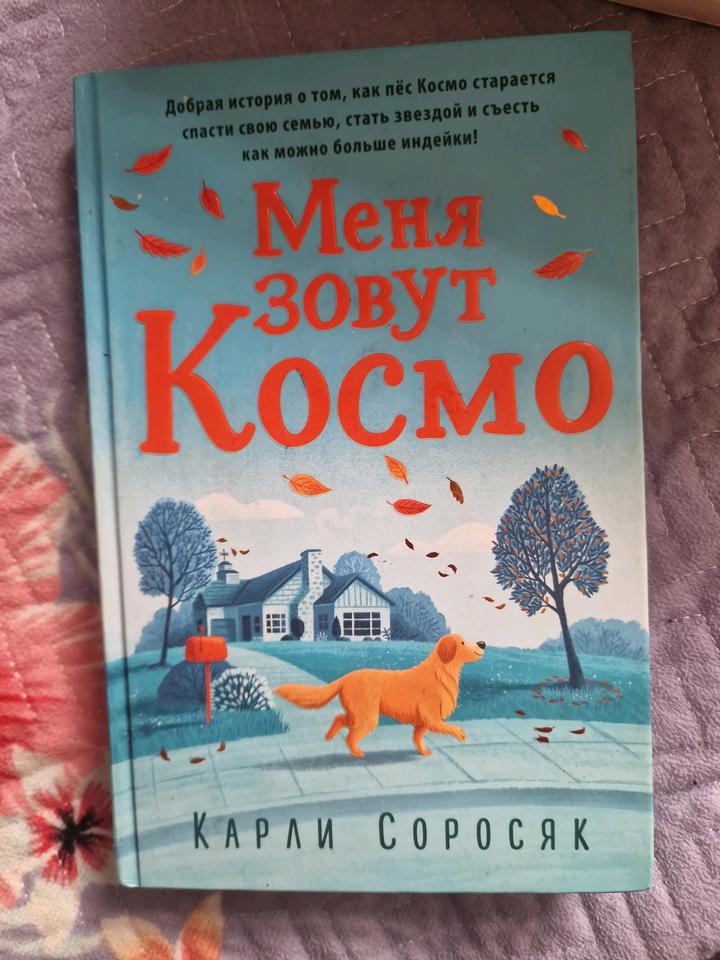 Книга Карли Саросяк