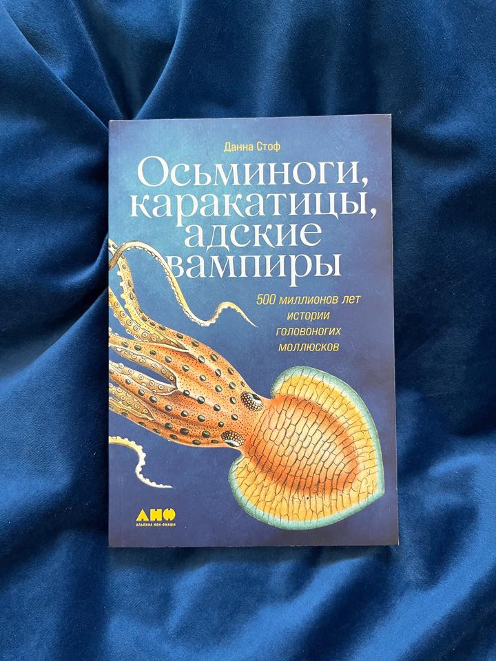 Осьминоги, каракатицы, адские вампиры