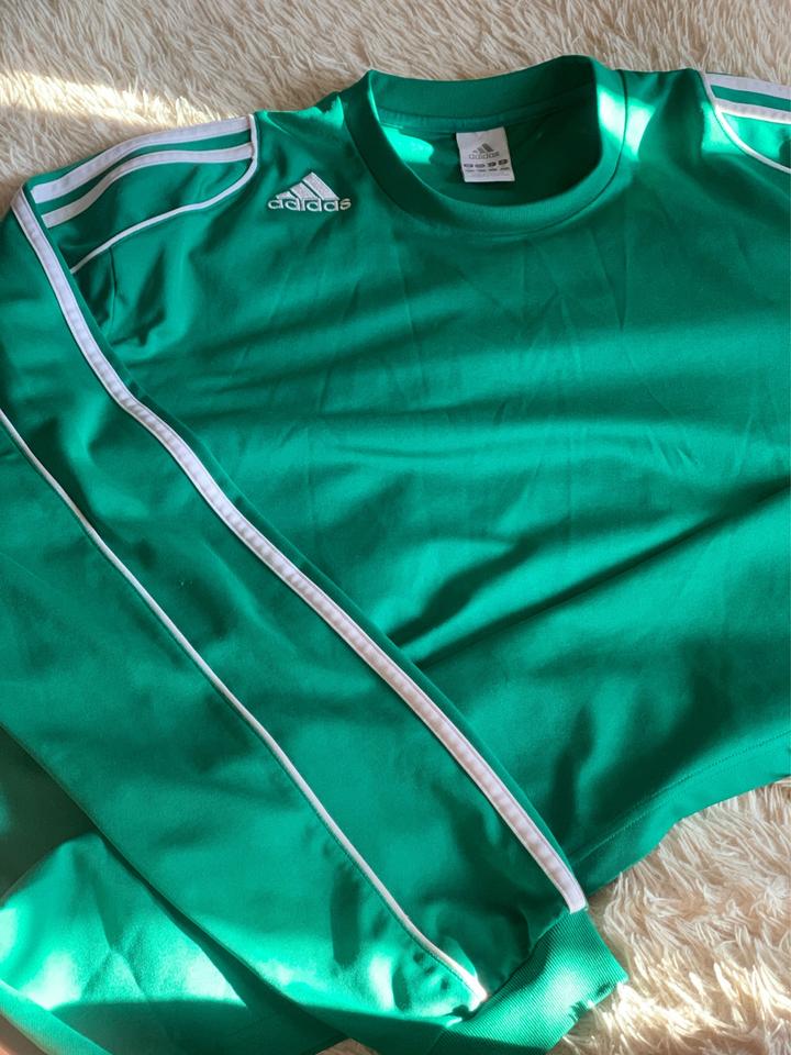 Свитшот adidas