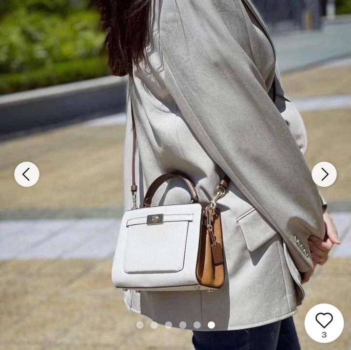 Сумка Coach Mini Lane
