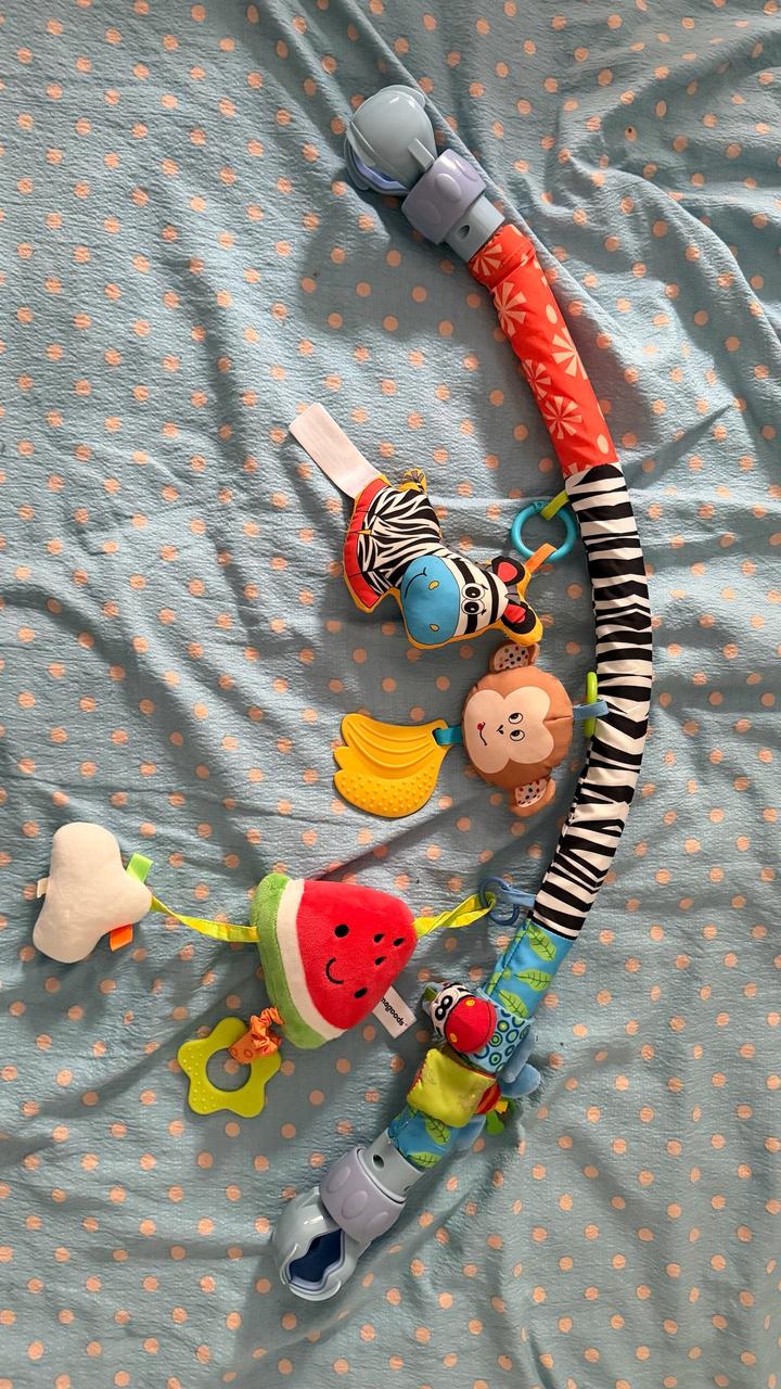 Sozzy Игрушка