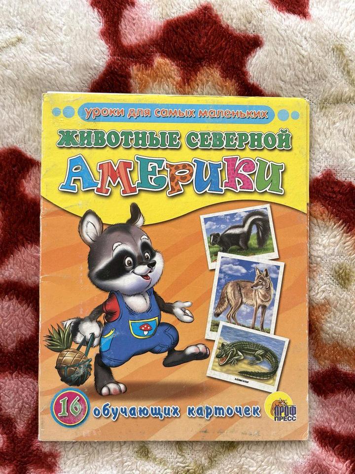 Учебное пособие для дошкольников. Тема: животные северной Америки.