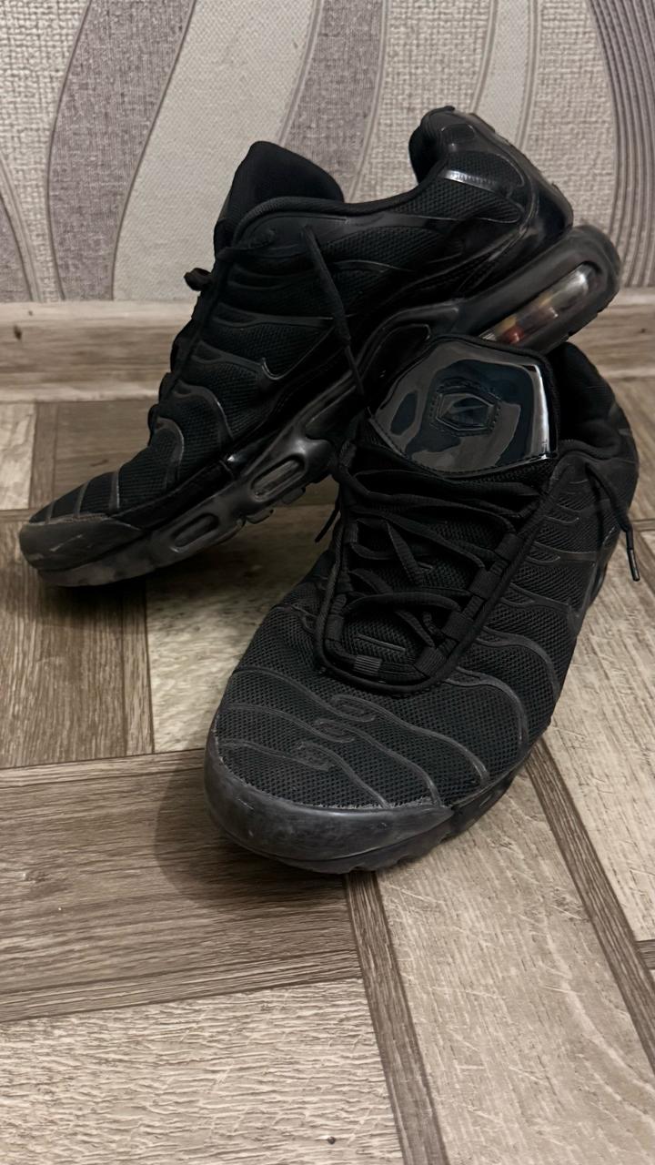 Кроссовки Nike Air Max Plus