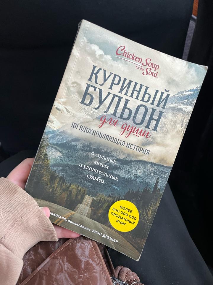 Куриный бульон для души