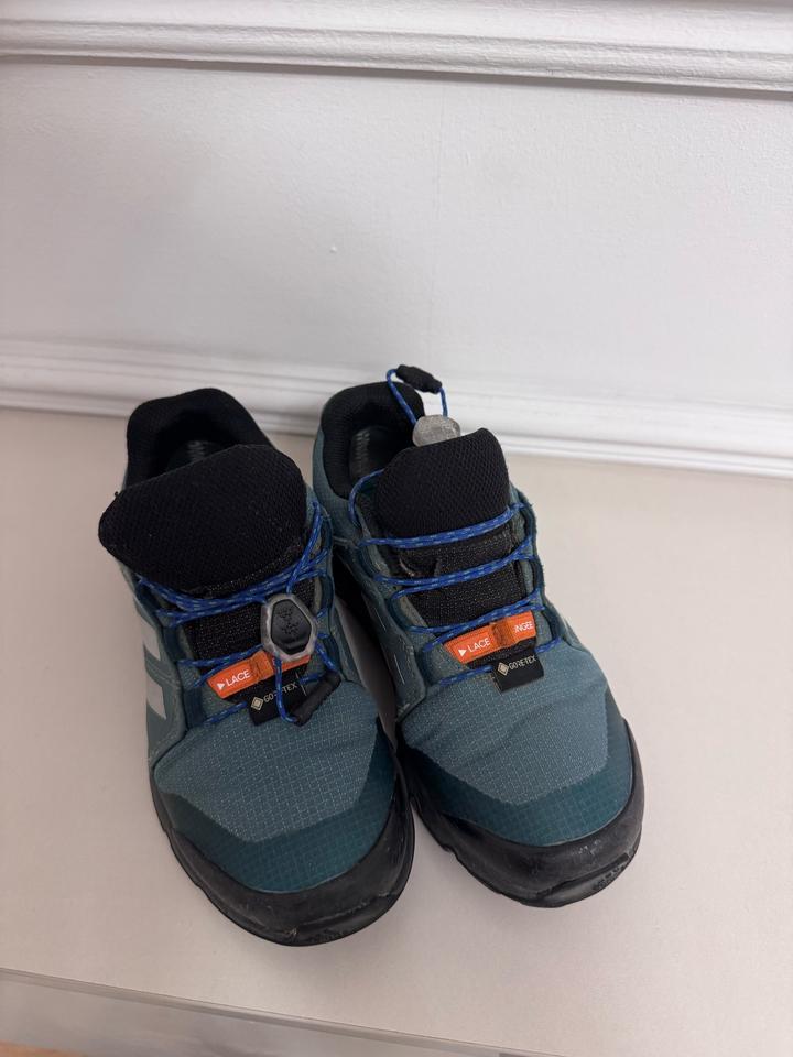 Кроссовки adidas Terrex 30